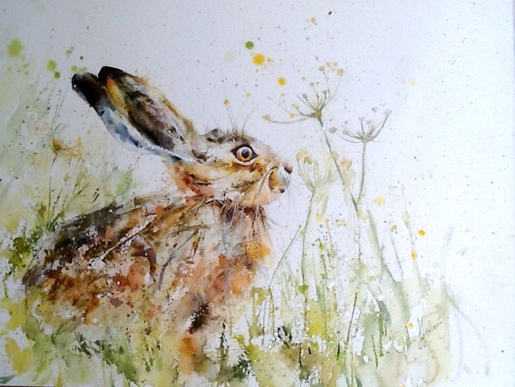 Hare painting meadow