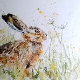Hare in meadow Hare painting meadow