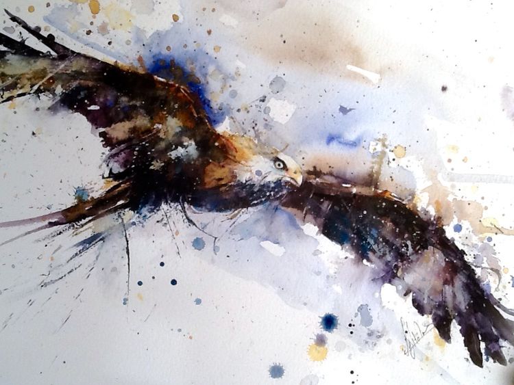 Hawk bird painting