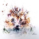 ' Old friends ' Hedgehog