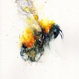 " Here comes the sun " SOLD Bee