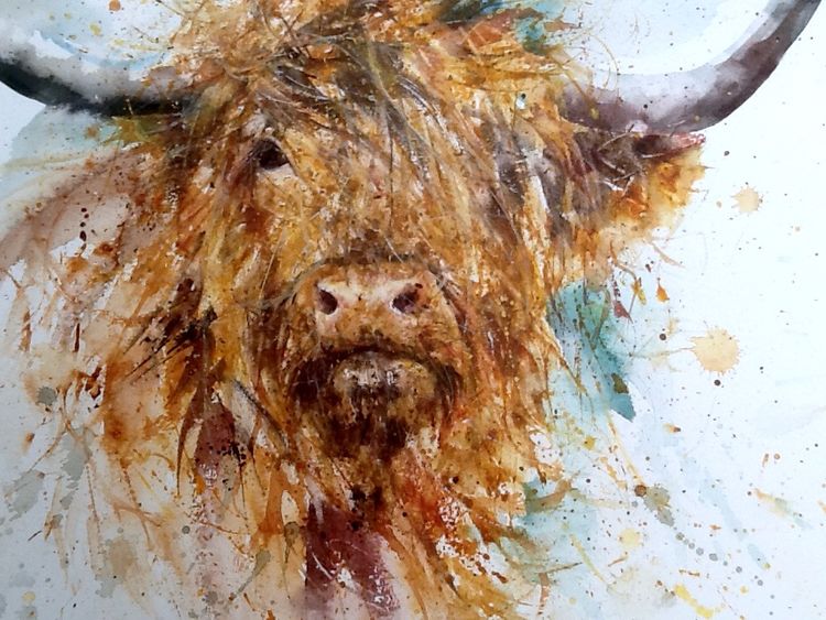 Highland cow watercolour original painting