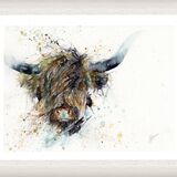 ' Cool rainy coo ' Giclee framed print £149 Highland cow