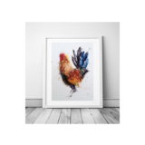 Cocky cockerel
