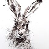 A SPECIAL ORDER FOR SARAH Hare