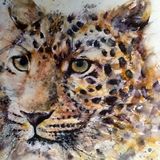 Leopard cat painting