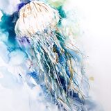 ' Float on ' RESERVED Jellyfish