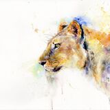 ' Queen ' Lioness painting