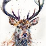 " Be majestic " LAST ONE Stag painting