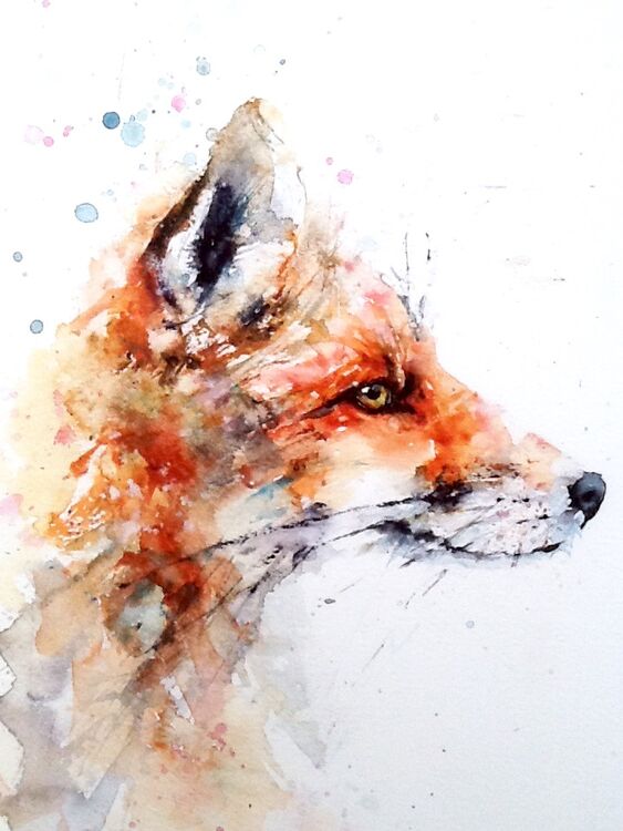 Lisa's red fox