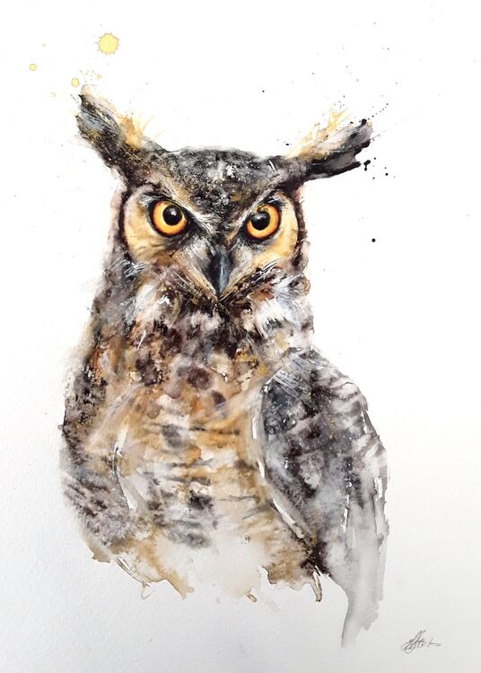 Owl-painting