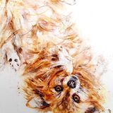 "Tummy tickle time" Pet portrait