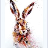 Pretty in pink Hare