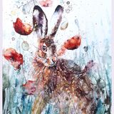 ' Poppy ' Hare poppy