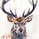 " Be majestic " Stag painting