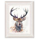 ' Be majestic ' (framed) SOLD OUT Stag
