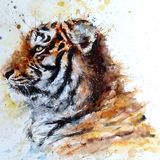 Tiger painting