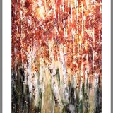 Silver Birch 5 - SOLD Silver birch tree