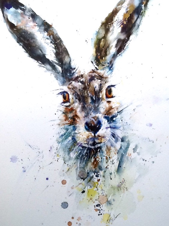Hare SOLD
