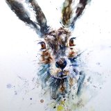 Hare SOLD