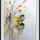 Blue tit SOLD