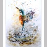 " The bright spark " 3/150