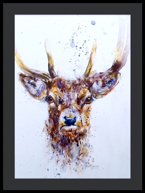 " Hello deer "