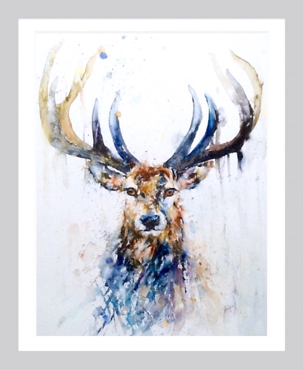 Stag SOLD