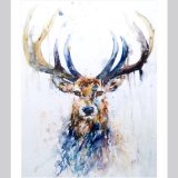 Stag SOLD