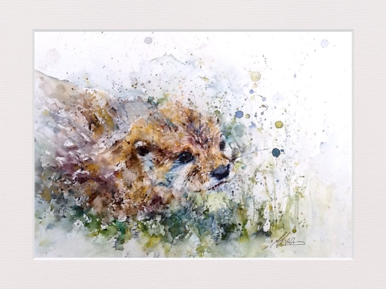 Little otter £155