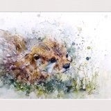 Little otter £155