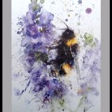 Veronica bee Bee