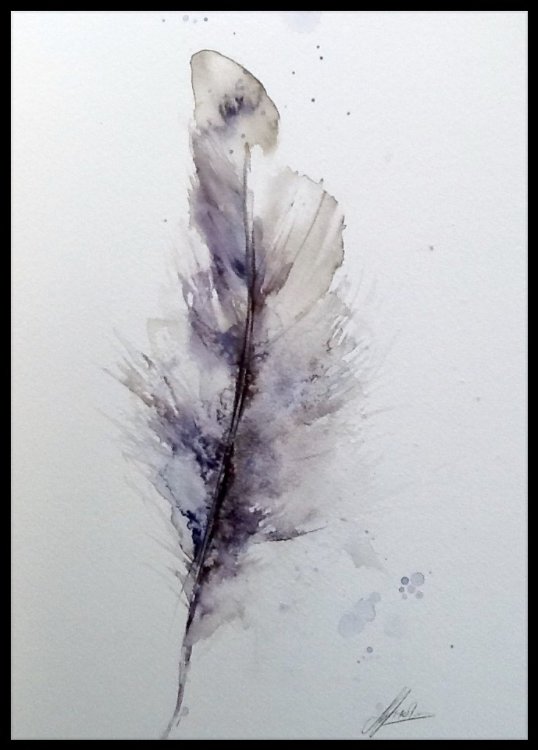 Simple wonders - natural elements