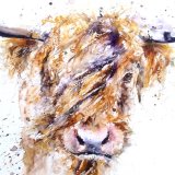 Extra image little shaggy coo