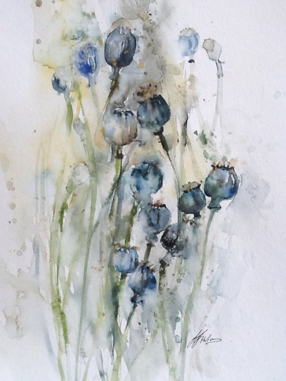 Seed heads £145