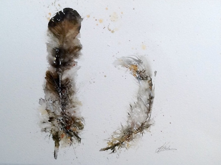 Feathers NOT FOR SALE