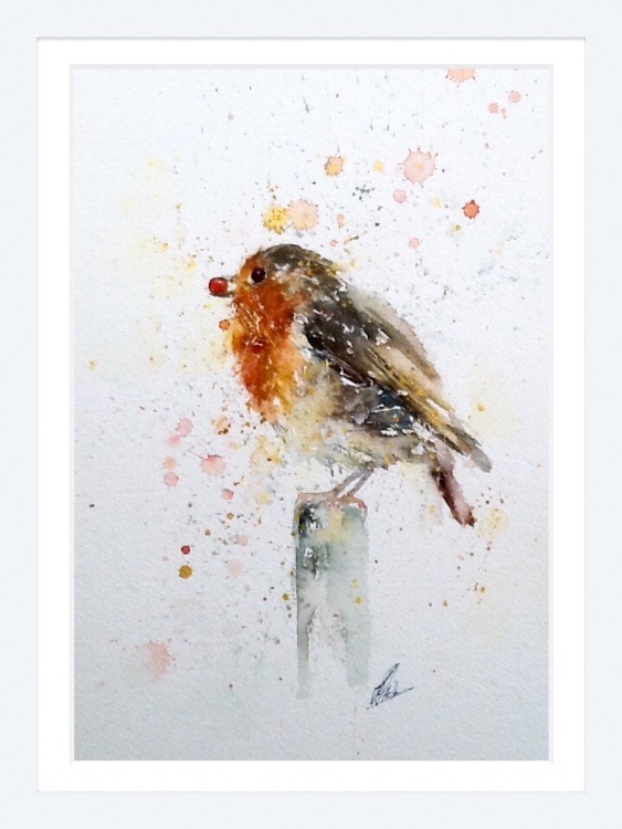 Little red robin 8/150