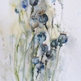 Seed heads £150