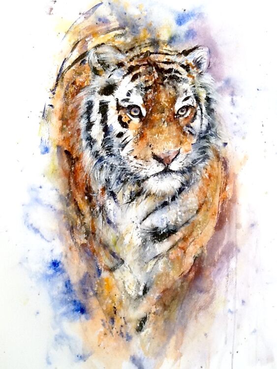 Owl painting