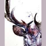 Antler Stag