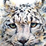 Ghost Leopard