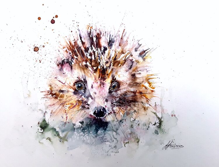 Hedgehog