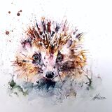 Old friends Hedgehog