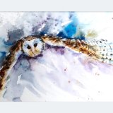 'Out of the darkness' Owl