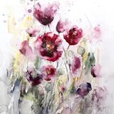 Poppies £170