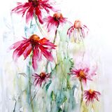 Little hummingbird SOLD