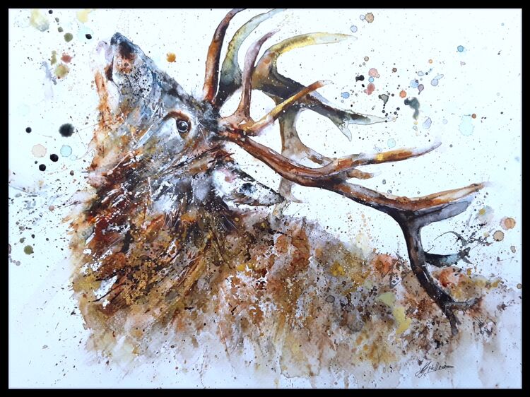 " Conkers bonkers " SOLD
