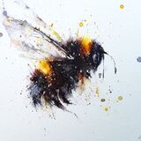 Little bee - extra image