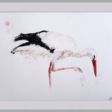' Stork " Stork bird