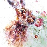 " Pretty in pink " - extra image Hare
